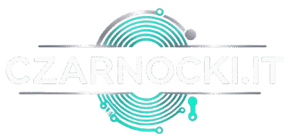 Usługi Informatyczne dla Firm